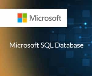 Microsoft SQL Database